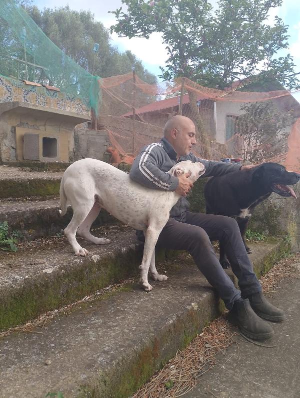 💔 OPI: Una vita in attesa di amore 💔 Foto 10